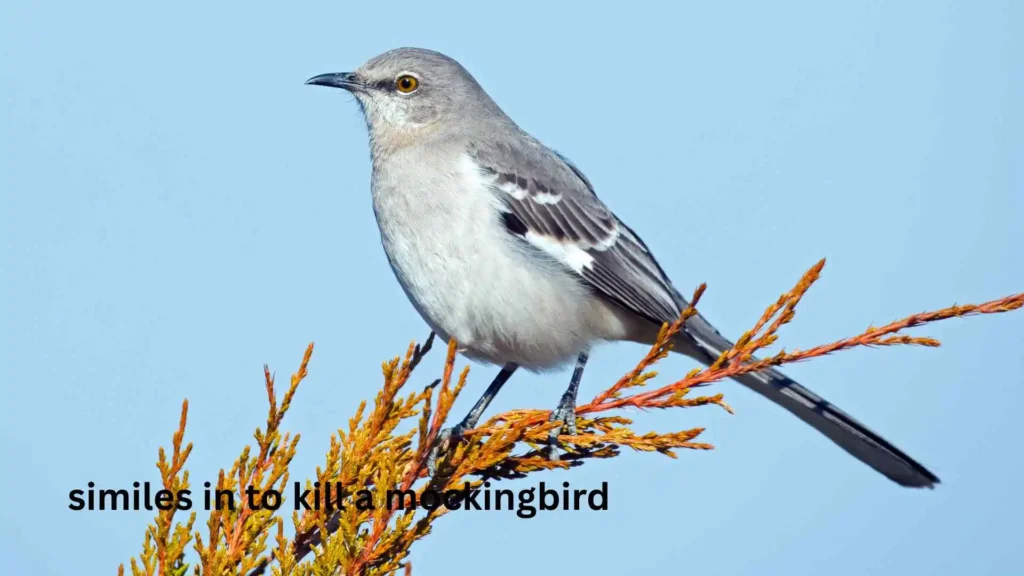 similes in to kill a mockingbird