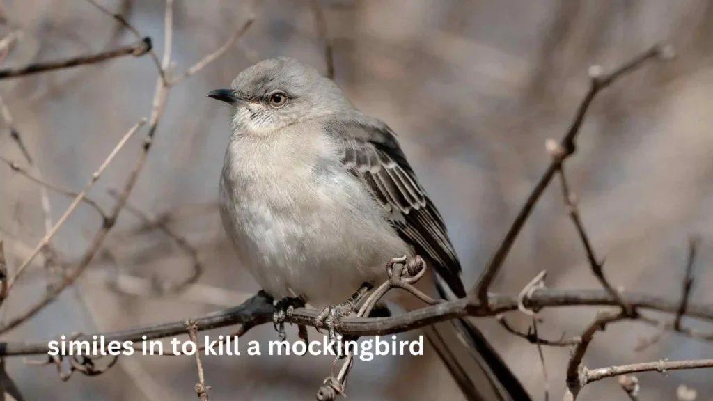 similes in to kill a mockingbird