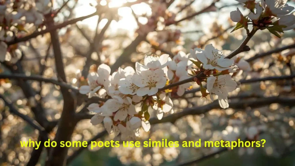 why do some poets use similes and metaphors?