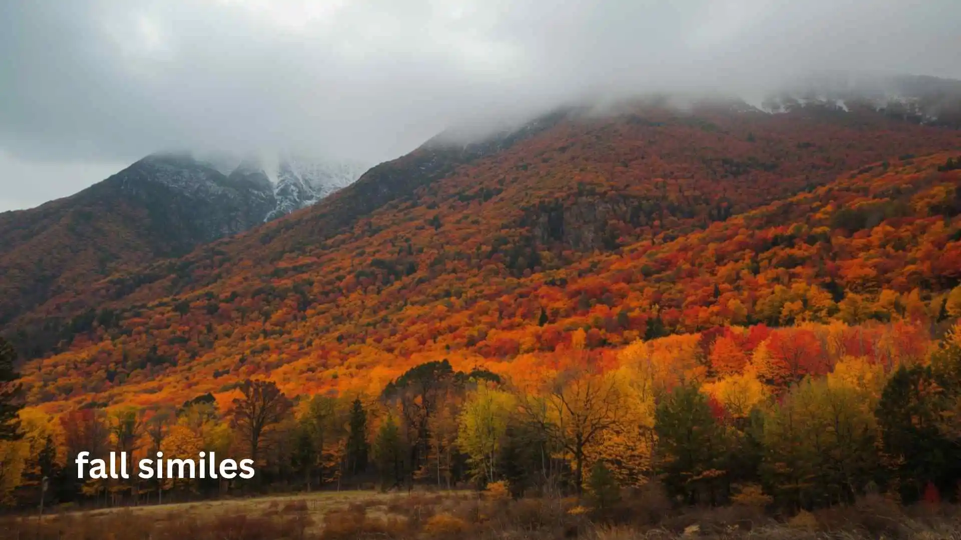 Autumn Similes Best Sentences to Describe Leaves, Wind, and Golden Sunsets