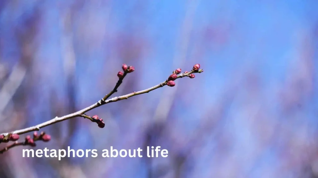 metaphors about life