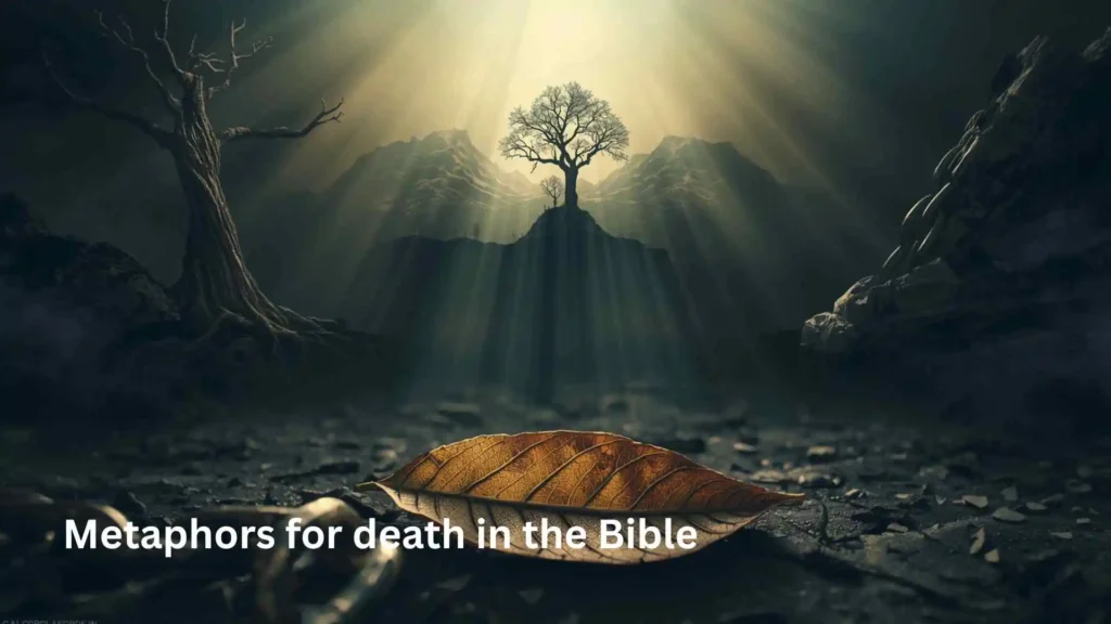 metaphors for death
