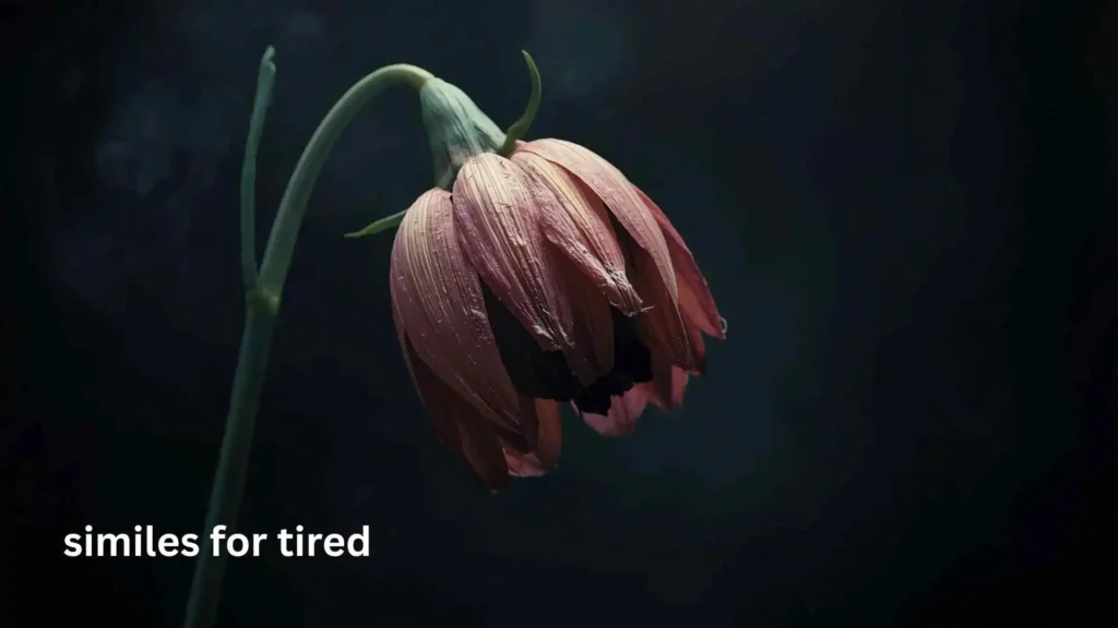 similes for tired