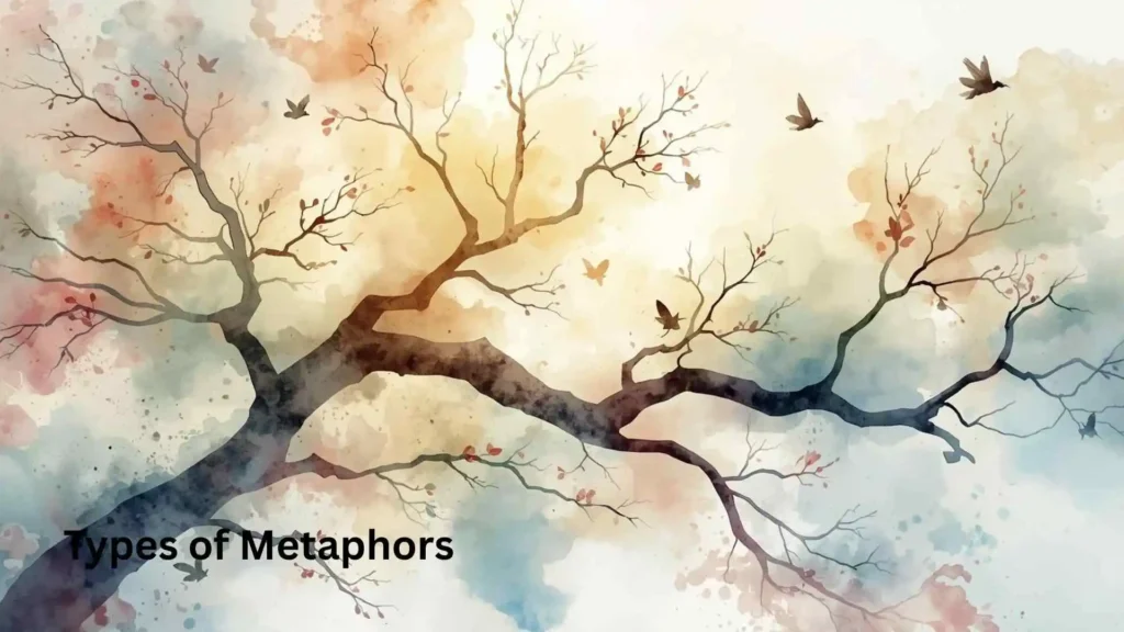 Types of Metaphors