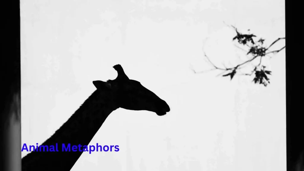 Animal Metaphors