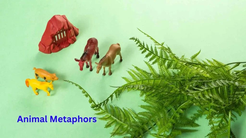 Animal Metaphors