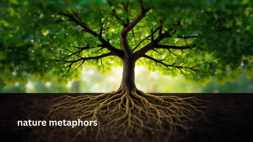 nature metaphors