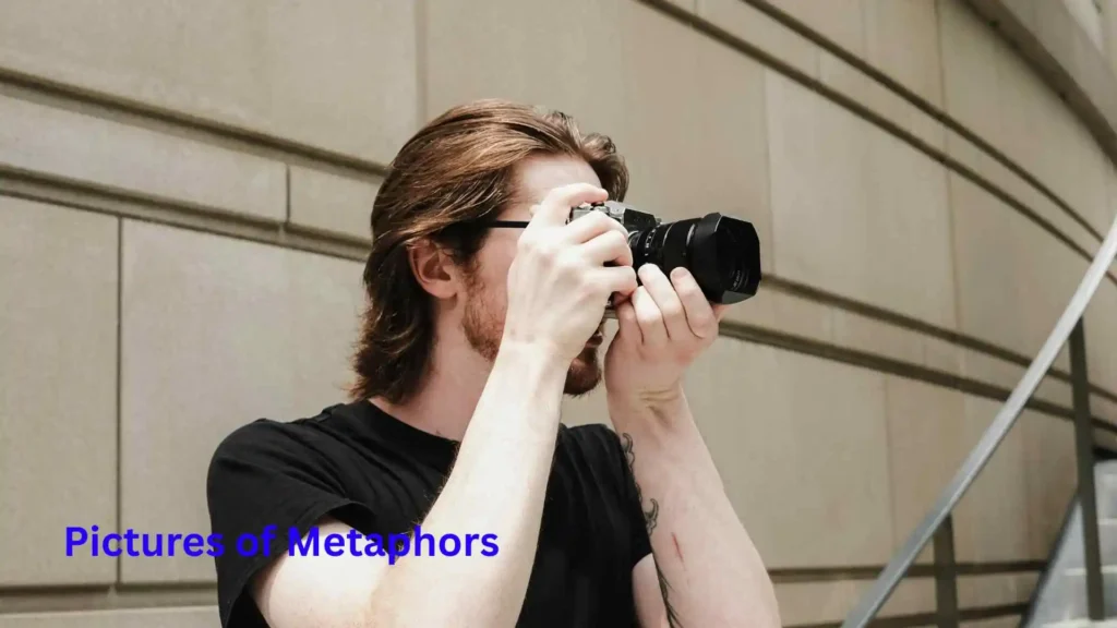 Pictures of Metaphors