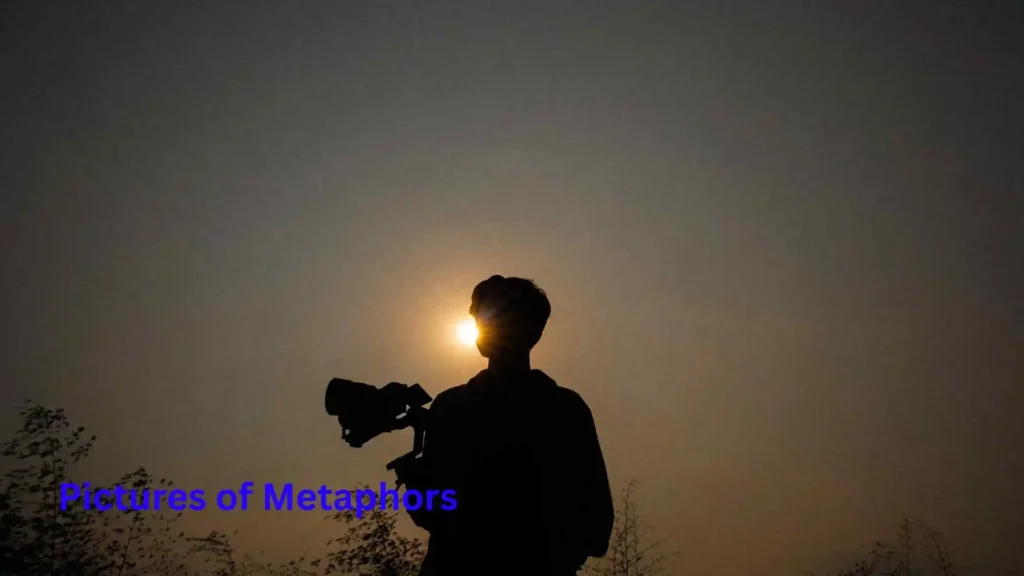 Pictures of Metaphors 