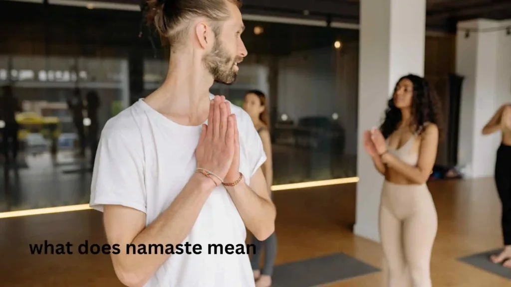 what does namaste mean