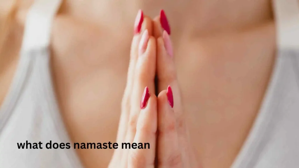 what does namaste mean