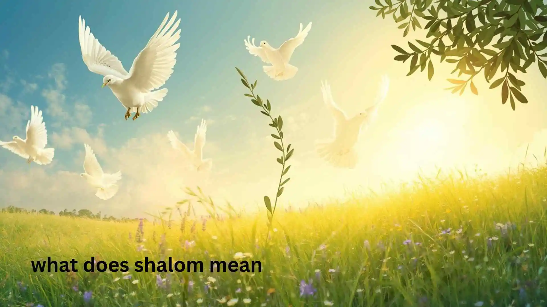what does shalom mean
