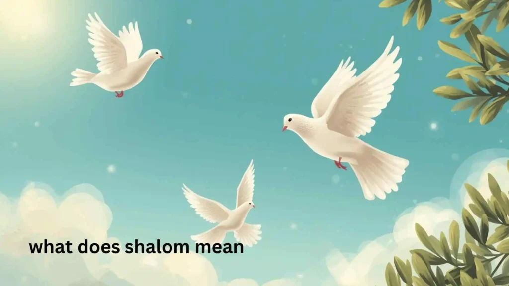what does shalom mean