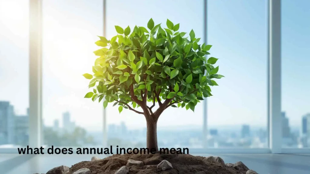 what does annual income mean