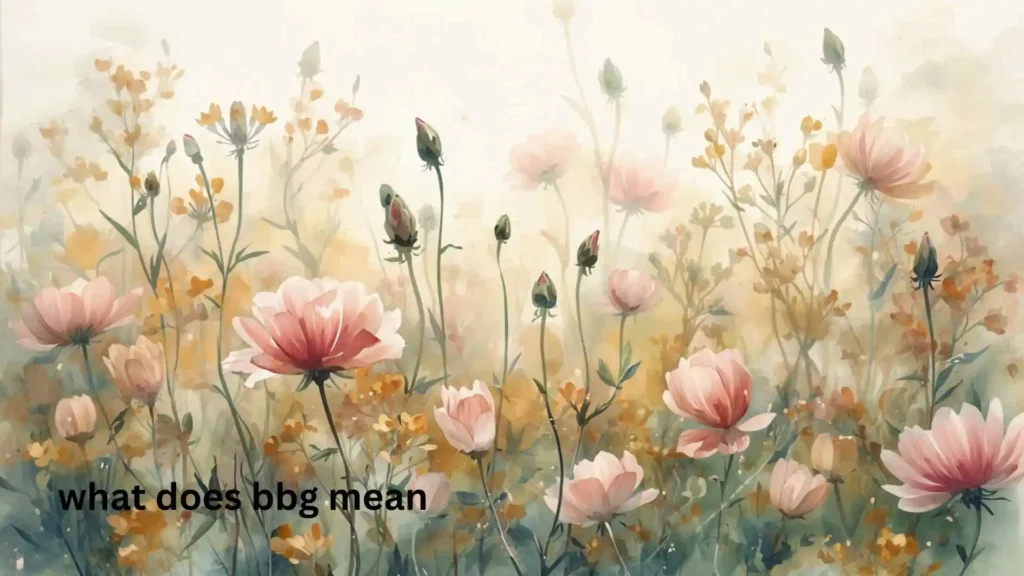 what does bbg mean