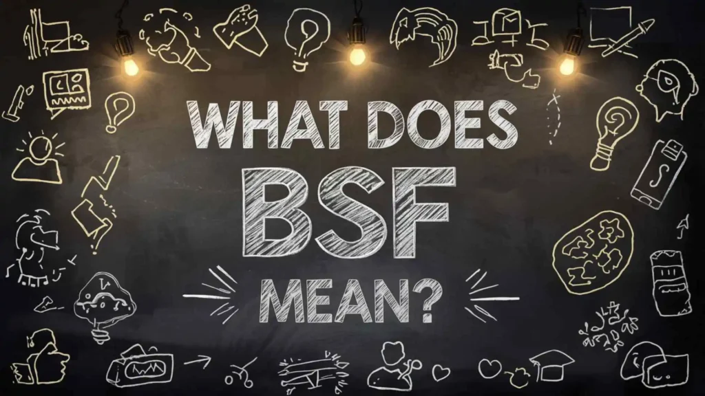what does bsf mean