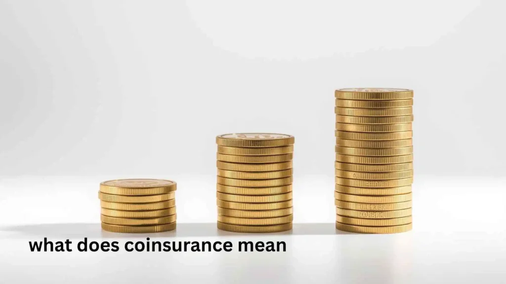 what does coinsurance mean