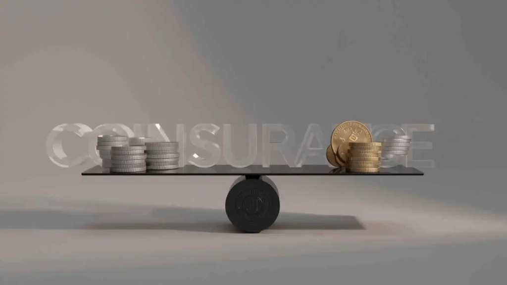 what does coinsurance mean