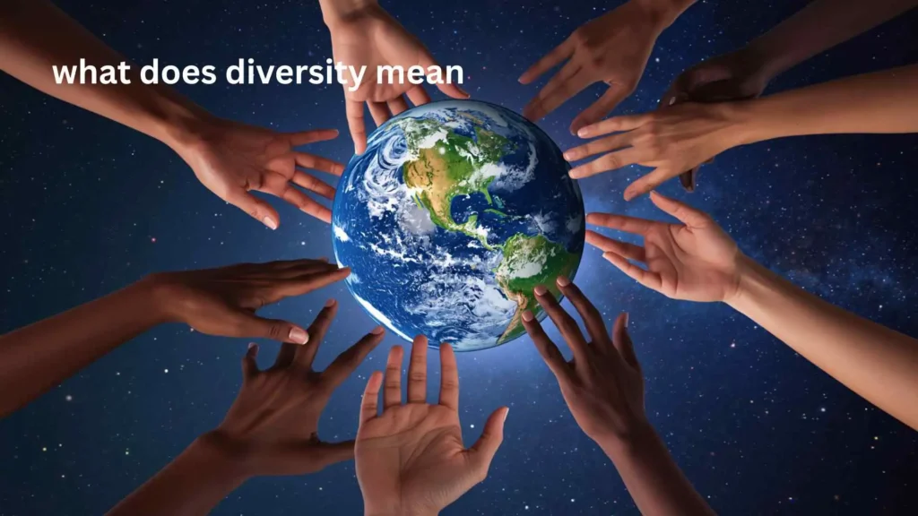 what does diversity mean