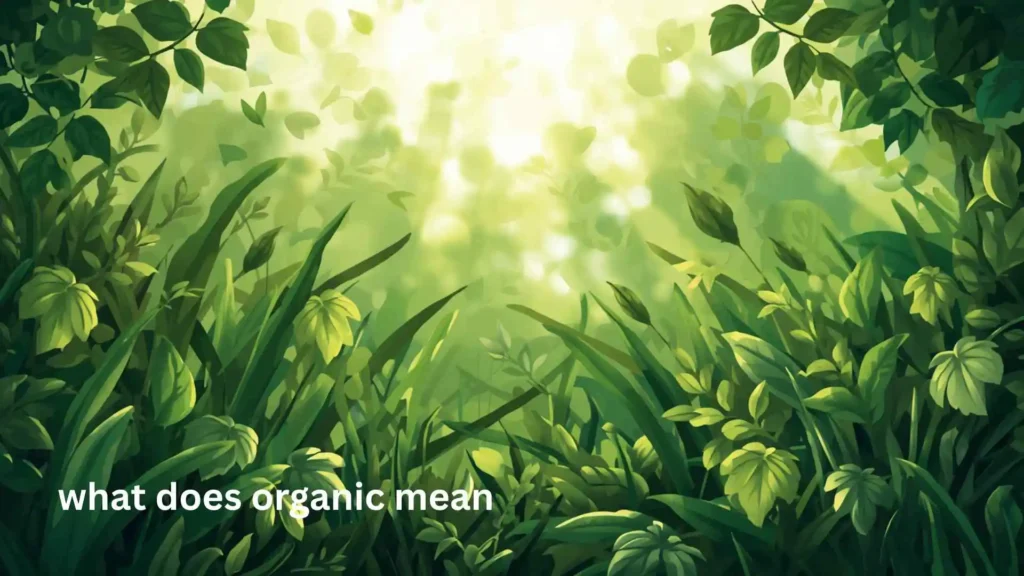what does organic mean