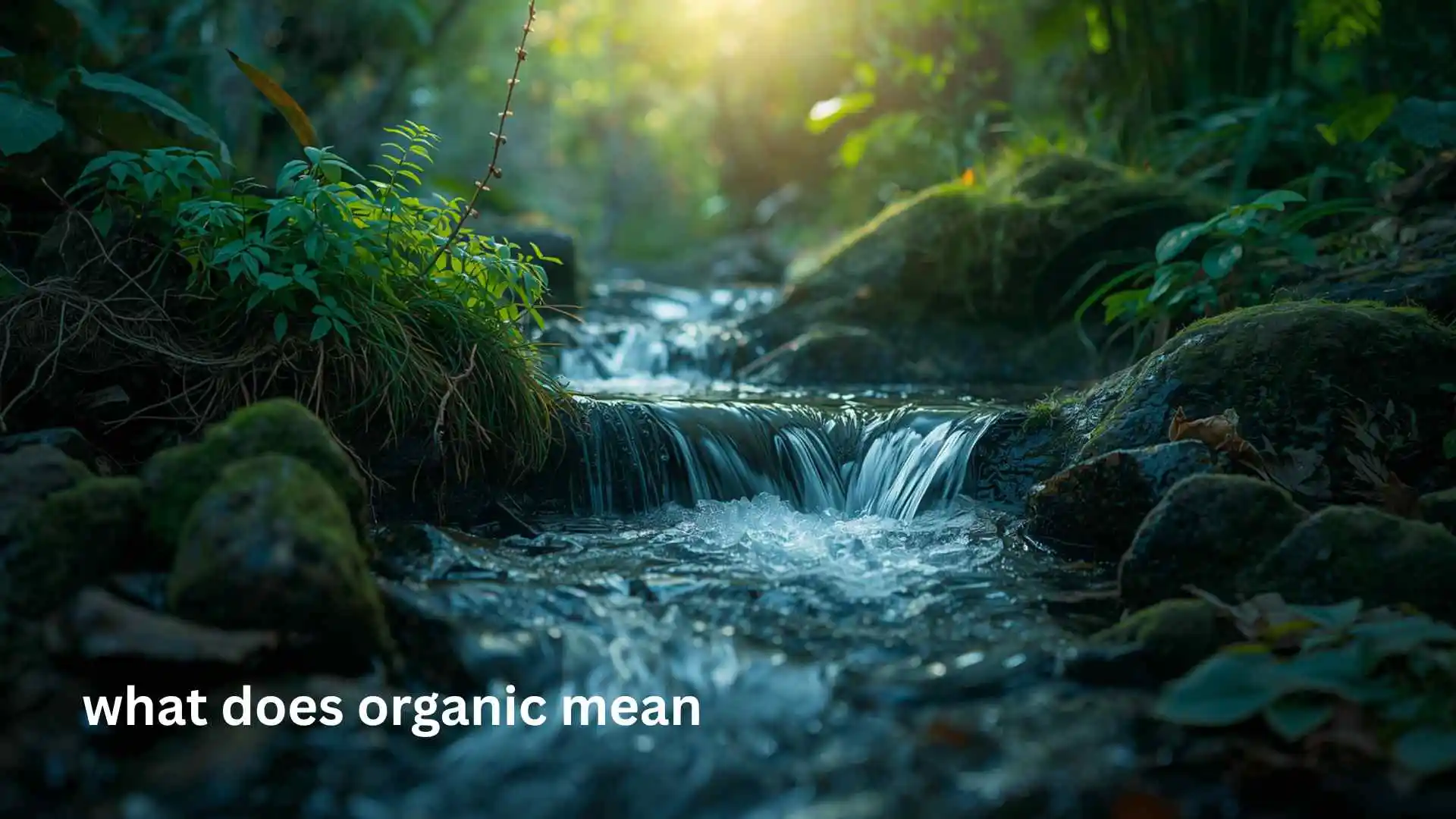 what does organic mean
