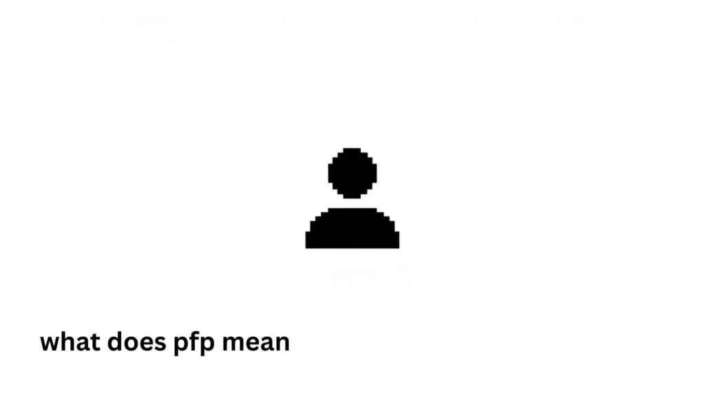 what does pfp mean