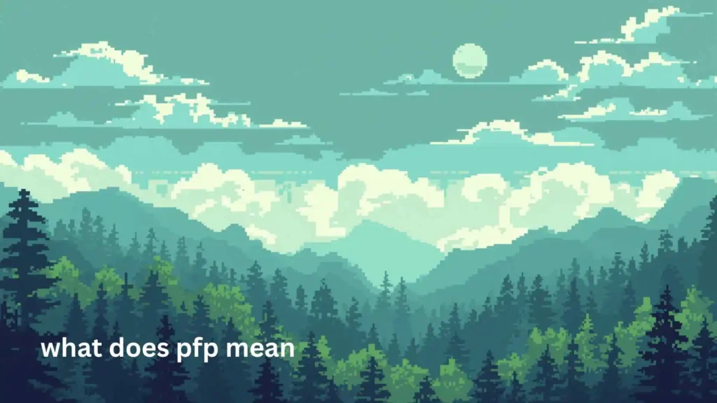 what does pfp mean