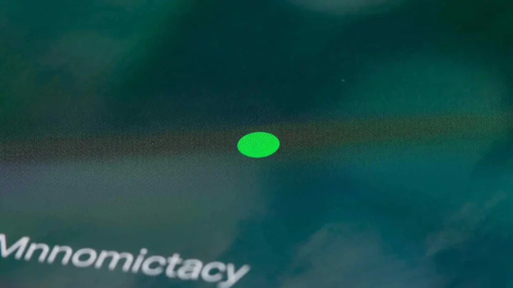 what does the green dot on snap mean