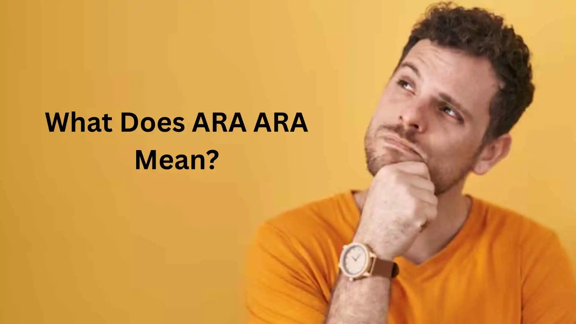 what does ara ara mean
