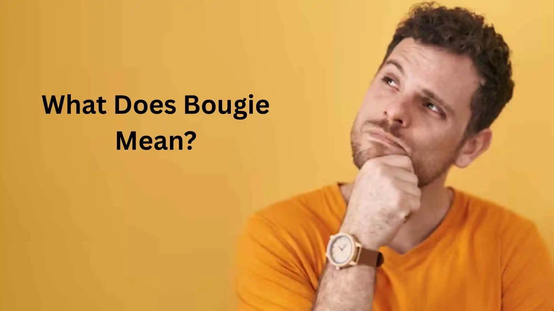 what does bougie mean