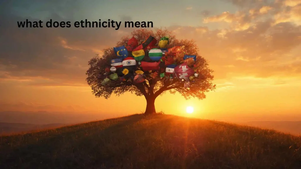 what does ethnicity mean