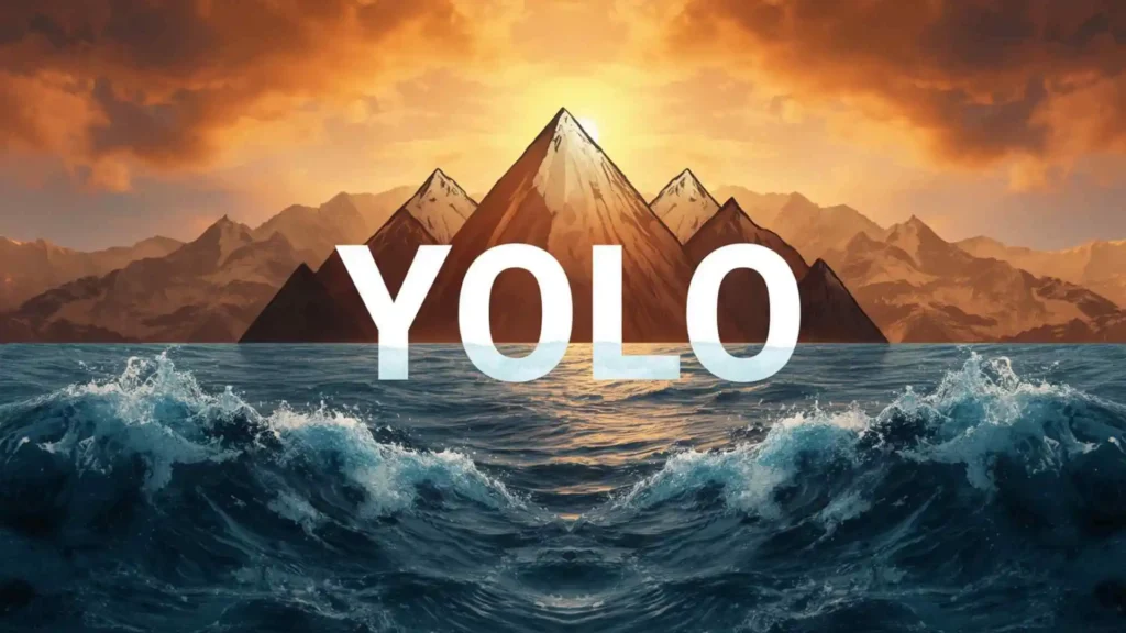 what does yolo mean